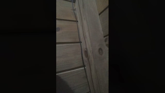 japasafado47  22-03-2022